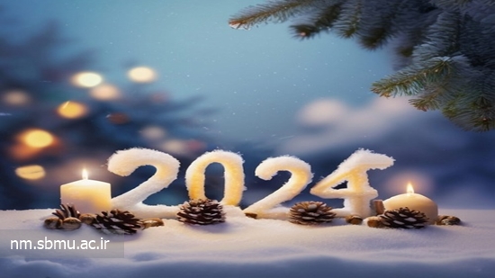 Happy new year 2024 