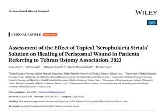 دکتر زندی - Assessment of the Effect of Topical ‘Scrophularia Striata’  Solution on Healing of Peristomal Wound in Patients  Referring to Tehran Ostomy Association, 2023